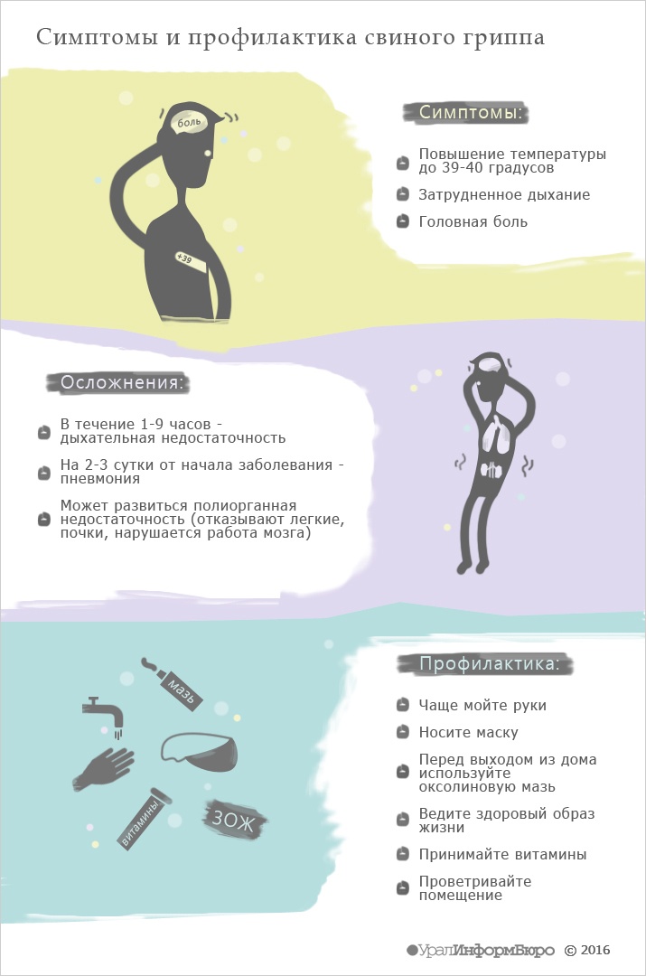 Инфографика: София МУХАМЕДЬЯНОВА