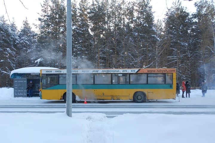  тюменка переломала ребра колесами автобуса 