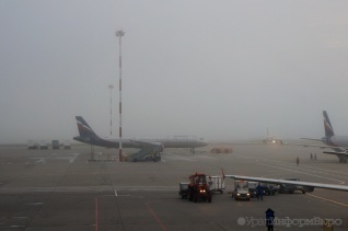 Туманный Екатеринбург задержал десятки авиарейсов 