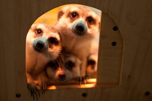Фото: uralinform.ru