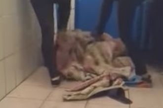  сироту-первокурсницу ульяновского колледжа жестоко избили педикулеза 