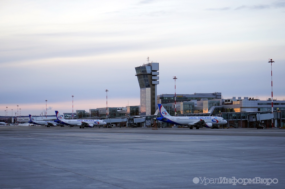  свалка аэропорта кольцово угрожает безопасности полетов 