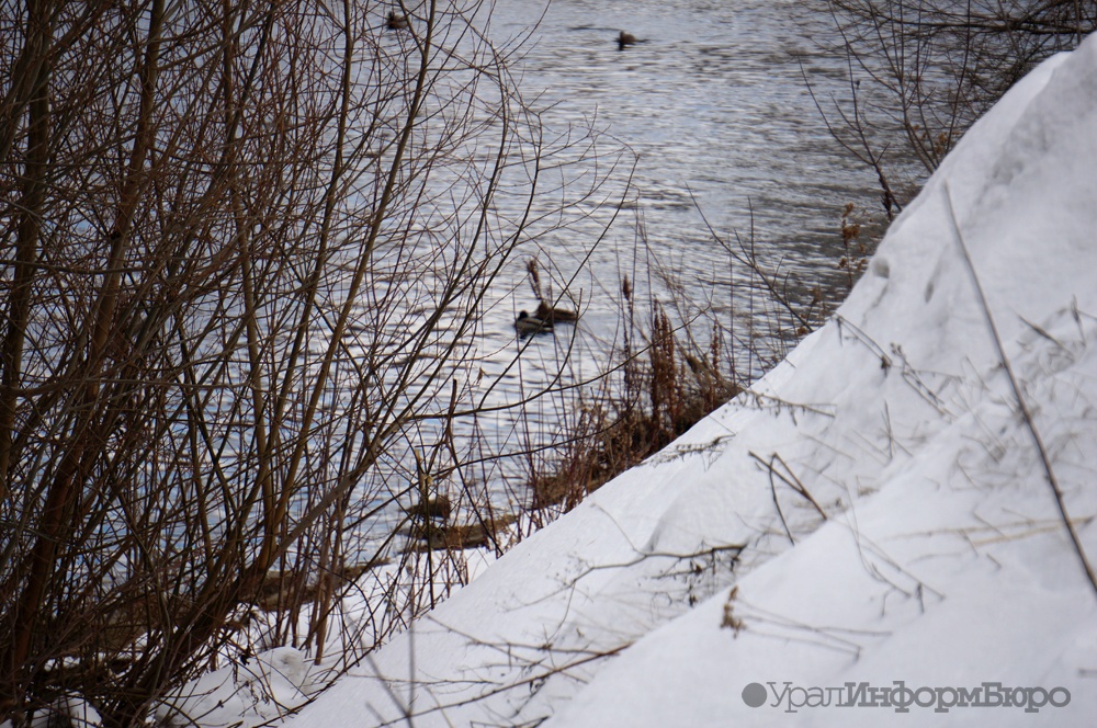 Фото: uralinform.ru