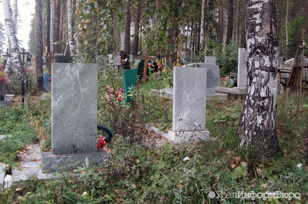  челябинская мэрия заплатит миллиона могилы бору 