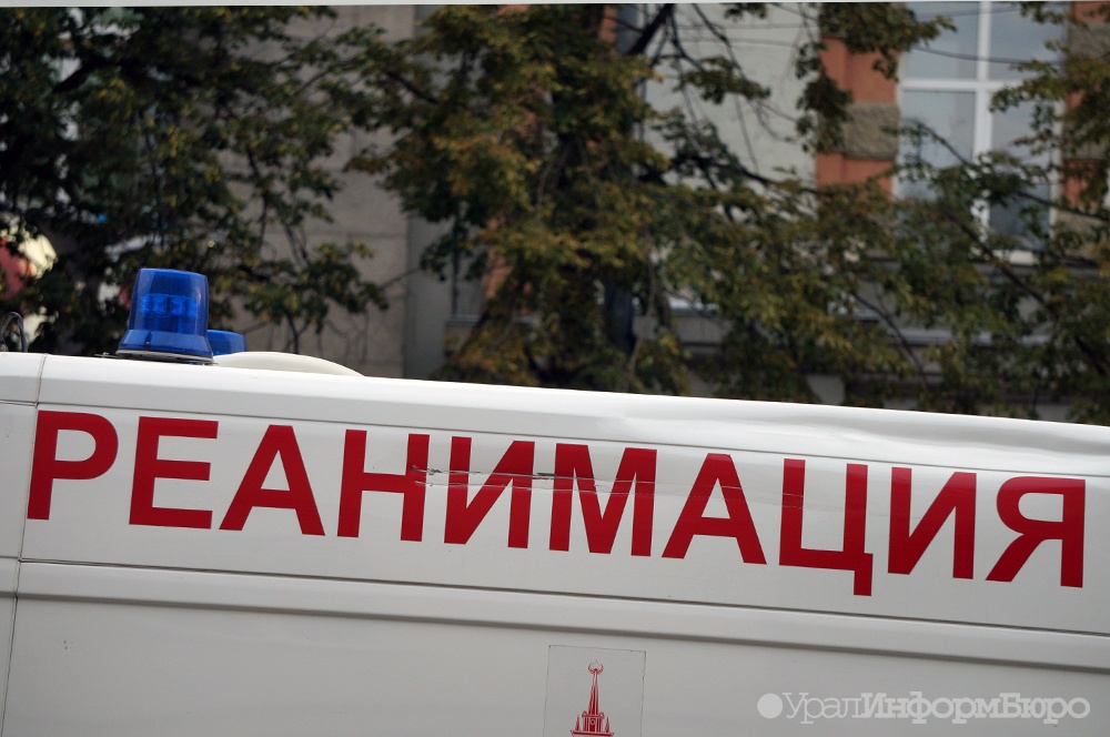  перми пьяный бесправник ниве задавил пешехода 