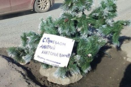  челябинцы приезду медведева посадили елку дорожной яме 