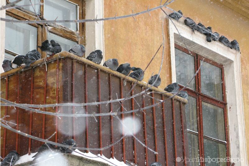  ревде обрушилась крыша жилого 