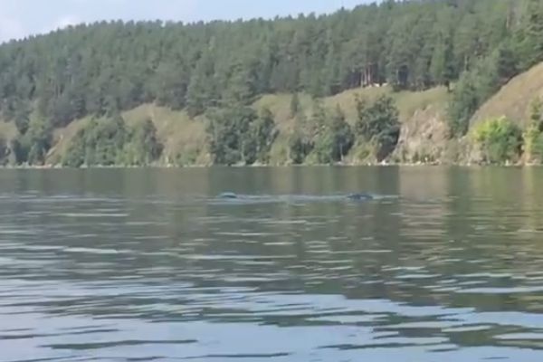  тургояк облюбовало лох-несское чудовище 