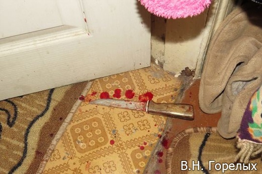  серове домушник изрезал ножом полицейских 