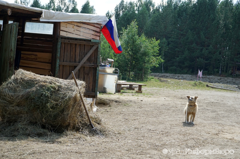  прикамье объявили режим гибели урожая 