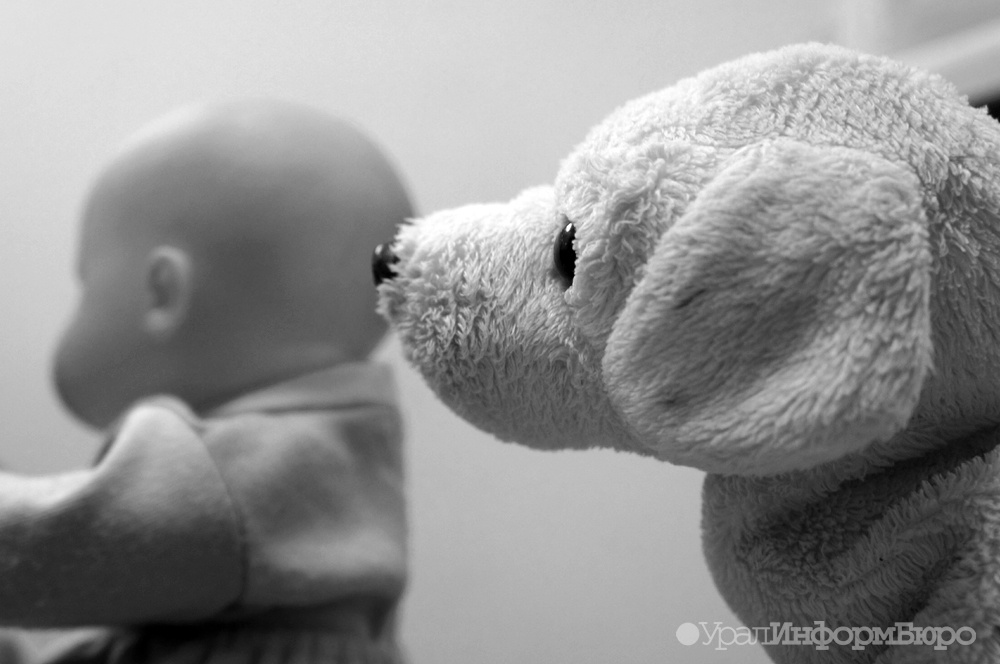  южном урале 7-летнего мальчика загрызли собаки 