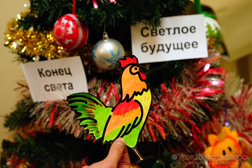  петух ученый 