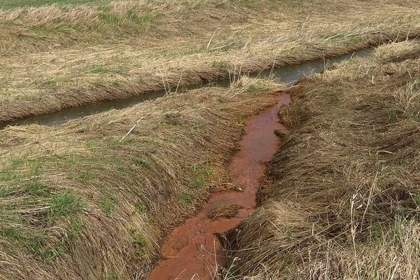  свжд открестилась помойных стоков арамилку 