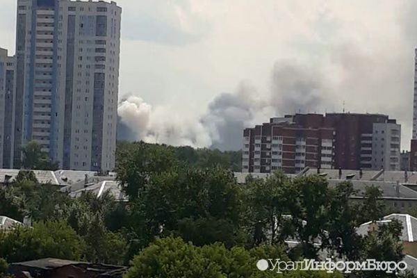  екатеринбурге открыли барбекю 1000 квадратов 
