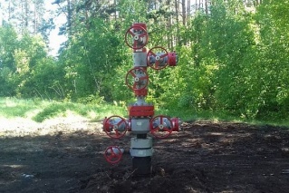  поток отчиталась работах бузулукском бору 