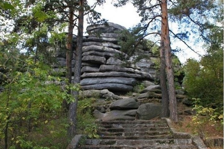  свердловской молодежи заплатят шарташ 
