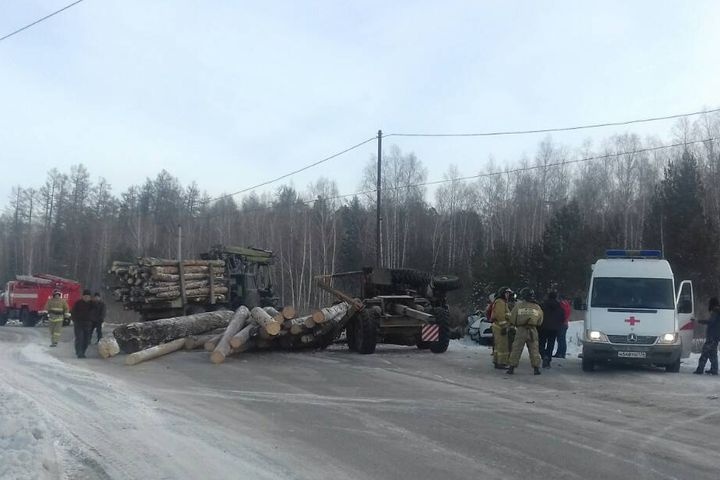  миасец renault залетел лесовоз 