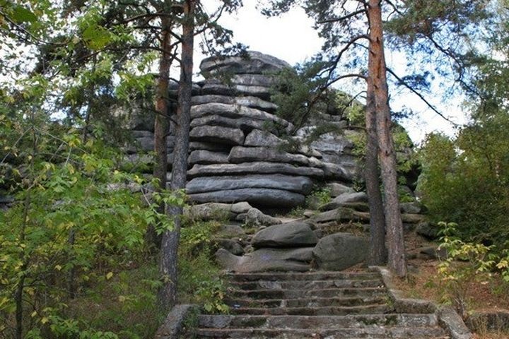  свердловские власти объявили розыск директора лесопарка 