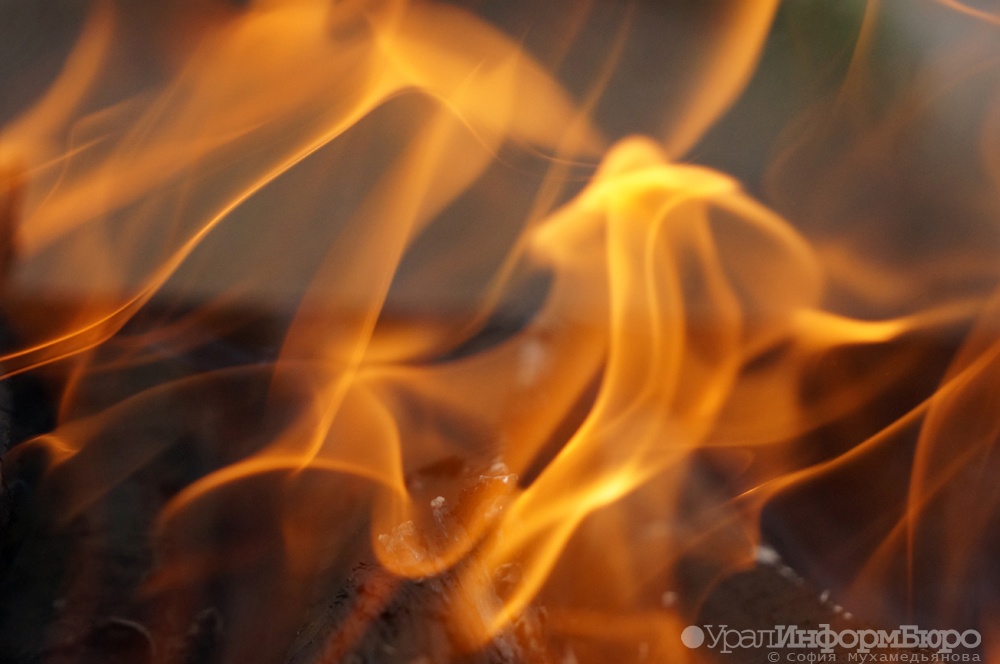 Фото: uralinform.ru