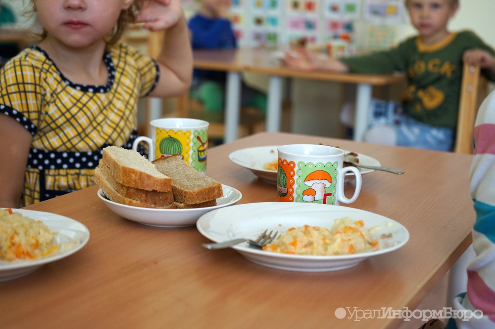  кухне свердловского детсада нашли плесень 