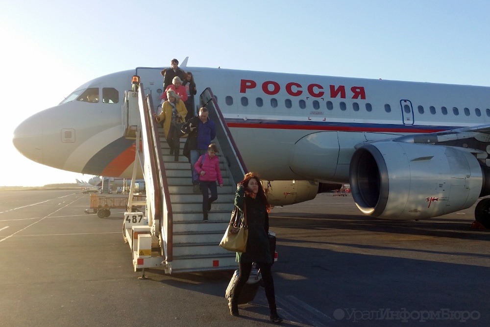  бортпроводница сломала палец 2-летней свердловчанке 