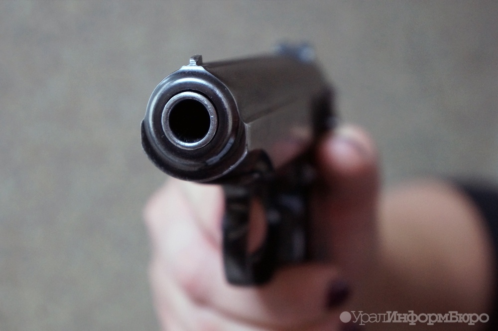 В Шадринске 13-летняя школьница расстреляла 7 человек