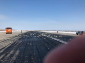 следовали выяснили причину золотого дождя якутии 