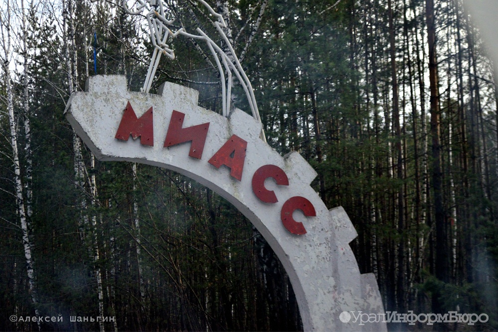  миасец спрятал килограмм синтетики дереве соседей 