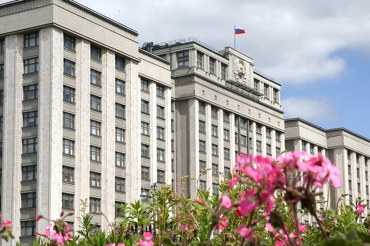  голосовал пенсионную реформу госдуме 