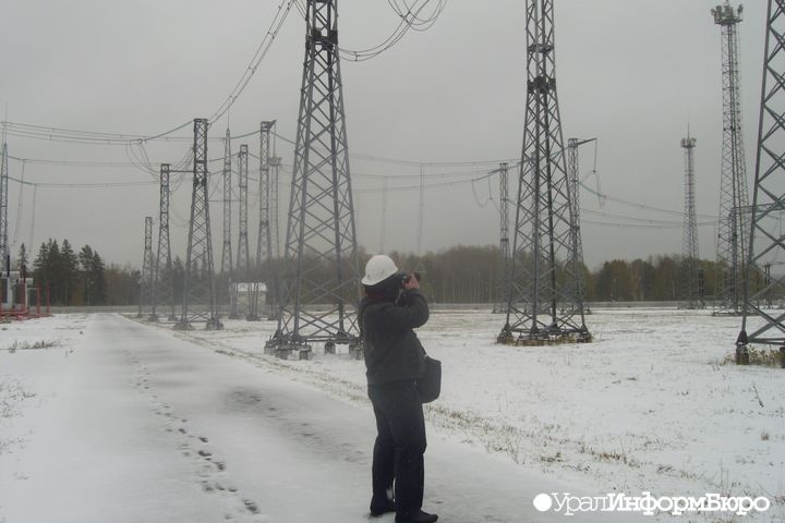  свердловские энергетики вложили миллиарды борьбу деревьями 
