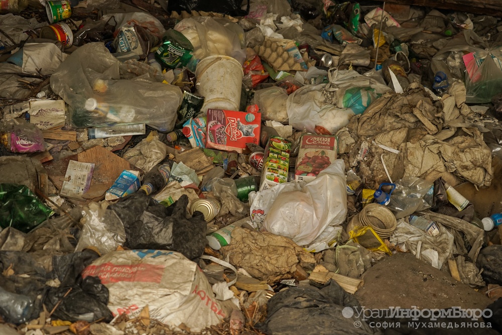 Под Екатеринбургом нашли свалку отходов площадью в миллион квадратных метров