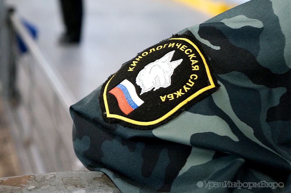 чекисты нагрянули обысками свердловским кинологам 