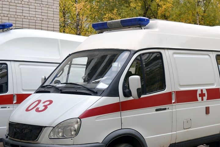  ярославле напали племянницу скрипаля 