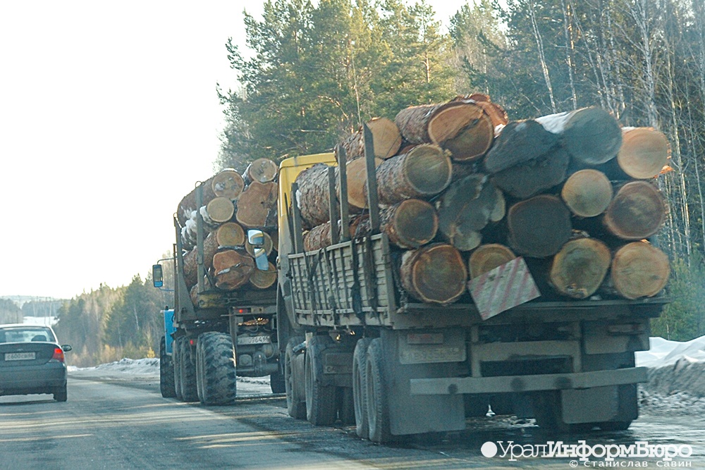  америка китай пристрастились свердловской фанере 