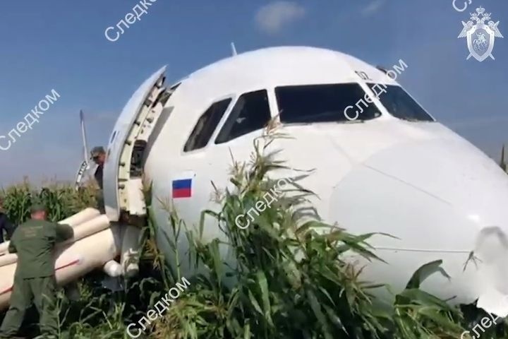  диспетчер предупредил экипаж уральских авиалиний птицах полосой 