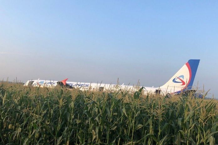  мародерства появились кадры салона a321 кукурузном поле 