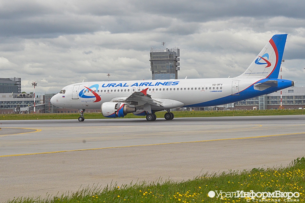  атакованный птицей airbus вынужденно екатеринбурге 