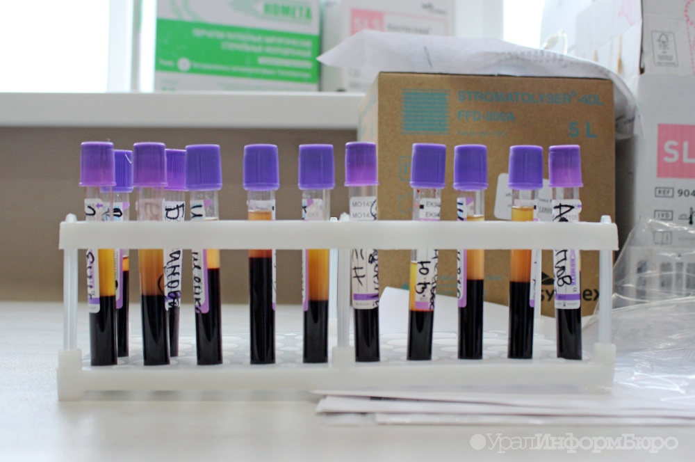  экспертам wada пришло письмо россии 