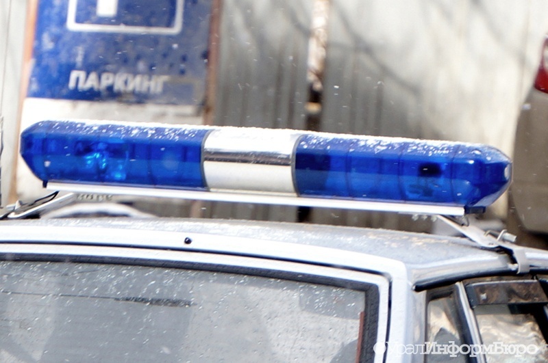  приехала полиция сестер хачатурян обвинили организации большой пьянки 