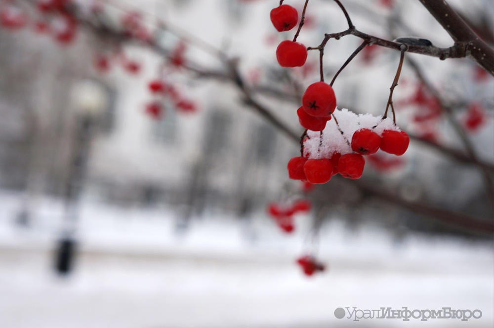  екатеринбург пришло потепление 