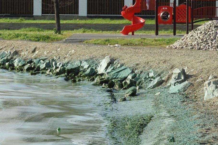  минприроды определились способом чистки черноисточинского водохранилища 