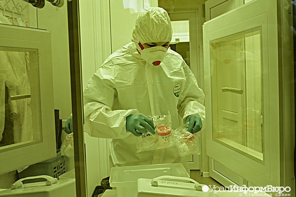  сутки область минувшие случаев жертвы covid-19 заражения урфо 