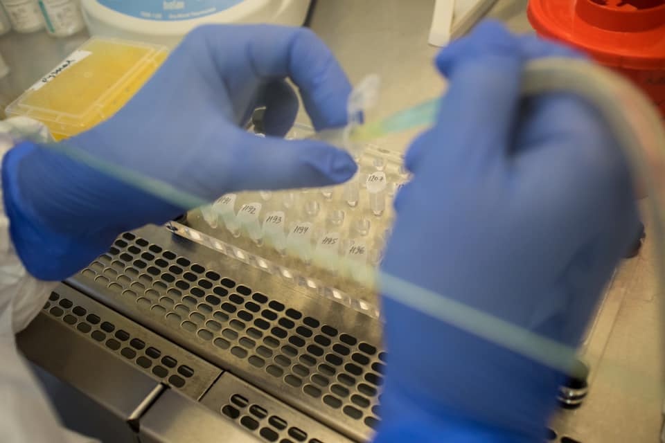  ������������ covid ����������� 