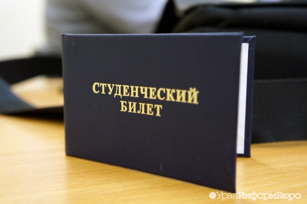  дипломов образование песков диплома знаний специальности документ дипломы 