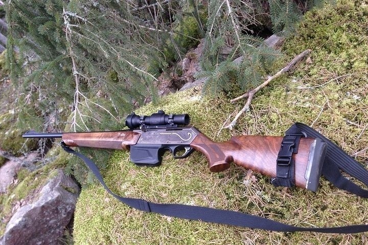  охоту палата счетная 