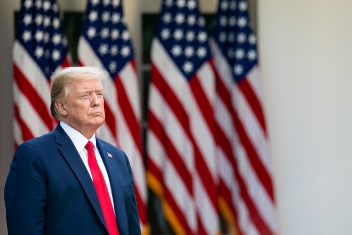  выборах трамп демократы дональд 