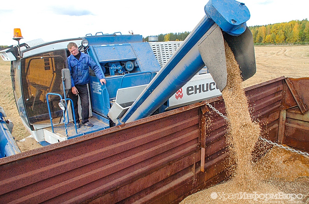  долларов продукции тонн миллиарда рубеж апк экспорт миллиона 