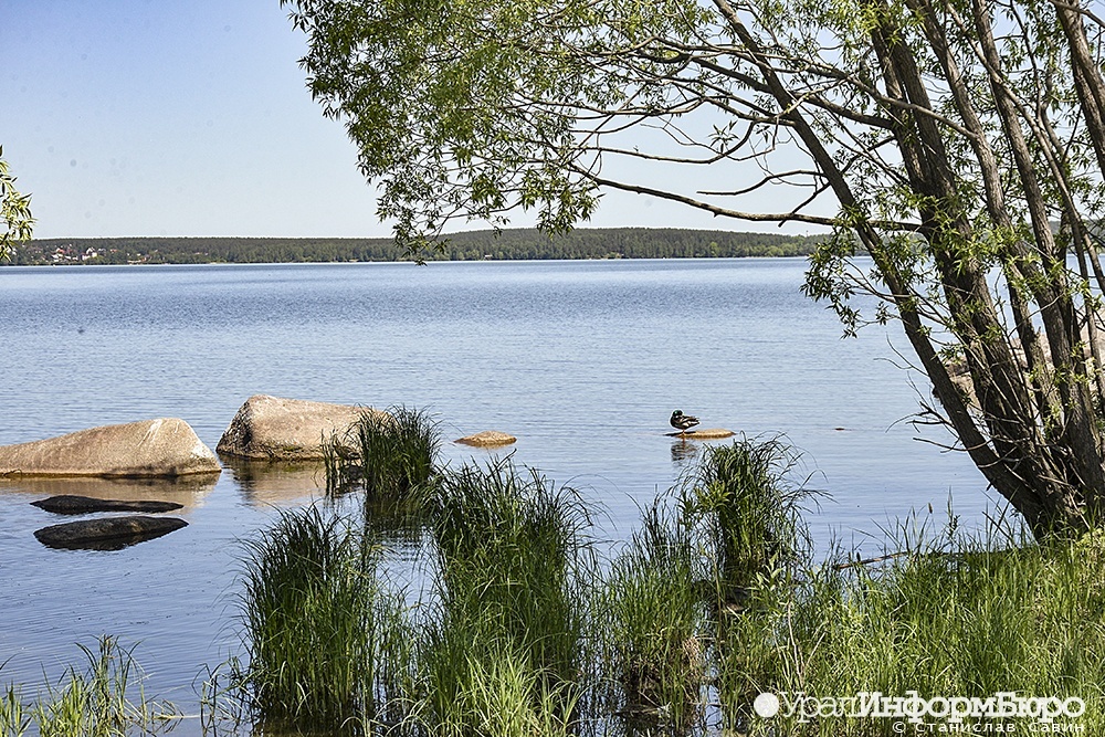  берегах границах природы водоемов пруда шиловского режим 