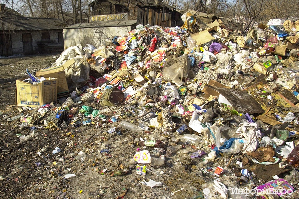  глава росприроднадзора обнаружила ямале кучу нелегальных свалок 