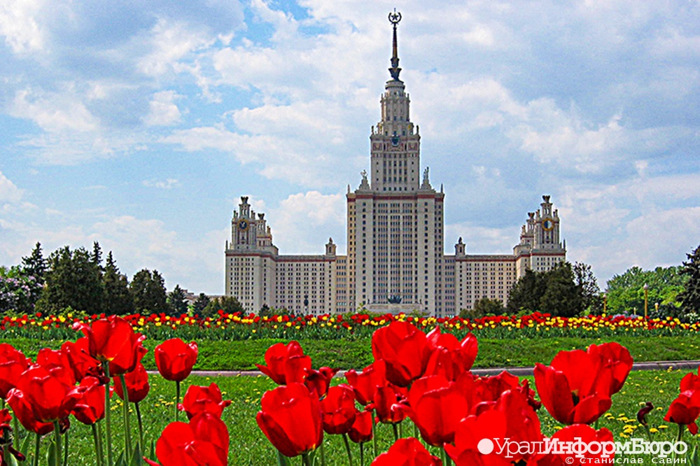  мгу сдала класс алиса вуз теплякова 